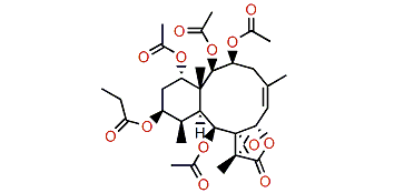 Excavatolide V